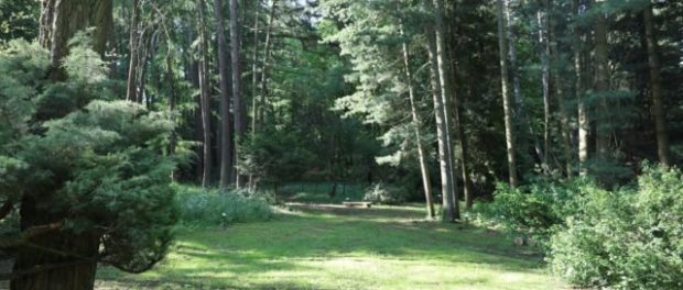 102523_lesnicke-arboretum-kysihybel-640x420.jpg