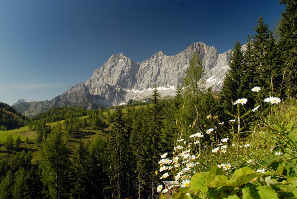 Dachstein Südwände