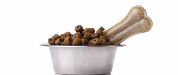 Dog,Food,Isolated,On,White